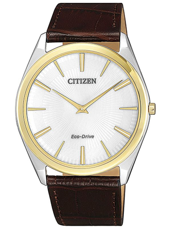 Reloj Caballero Citizen Eco-Drive AR3074-03A