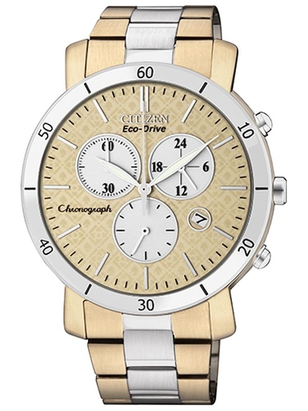 Reloj Dama Citizen Eco-Drive FB1346-55Q