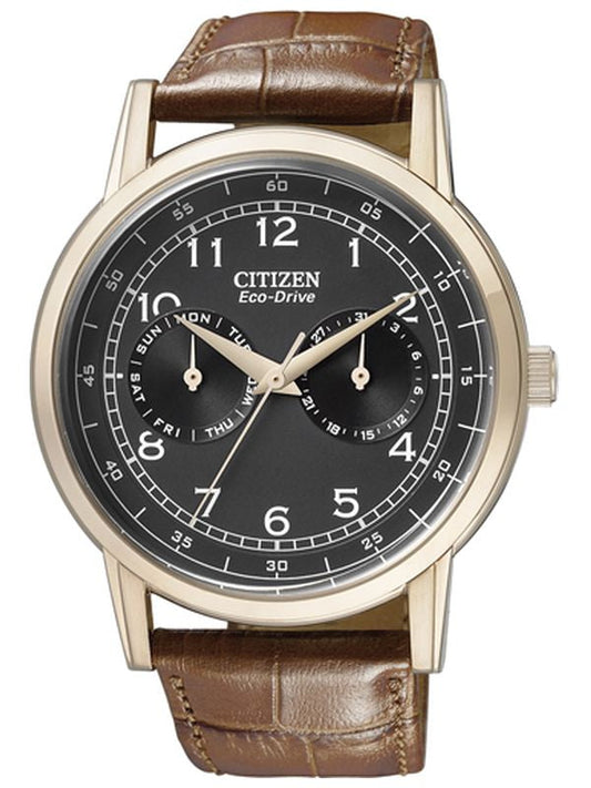 Reloj Caballero Citizen Eco-Drive AO9003-08E