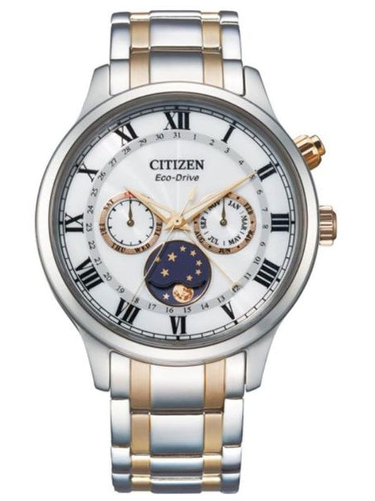 Reloj Caballero Citizen Eco-Drive AP1054-80A