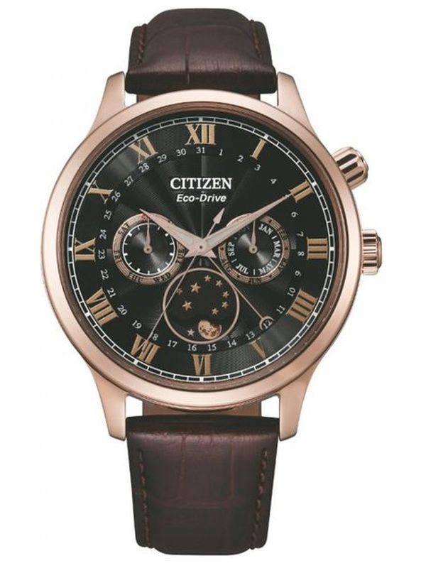 Reloj Caballero Citizen Eco-Drive AP1059-19E