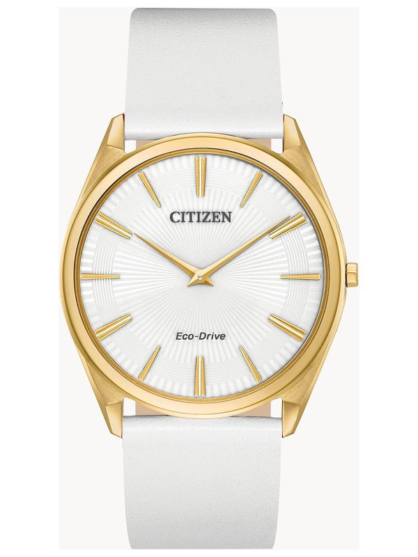 Reloj Dama Citizen Eco-Drive AR3072-09A