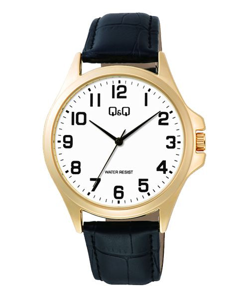 Reloj Caballero Analogo Q&Q C36A-009PY