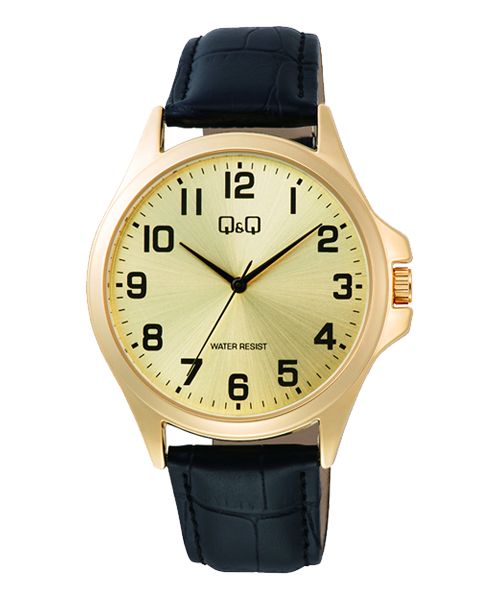 Reloj Caballero Analogo Q&Q C36A-011PY